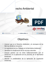 PRESENTACION DOCENTE 1 CEUTEC LEGISLACION AMBEINTAL EN HONDURAS MODIFICAR LOGO