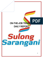 On-The-Job Training Daily Report