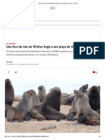 Una foca de más de 90 kilos llega a una playa de Vigo - AS.com