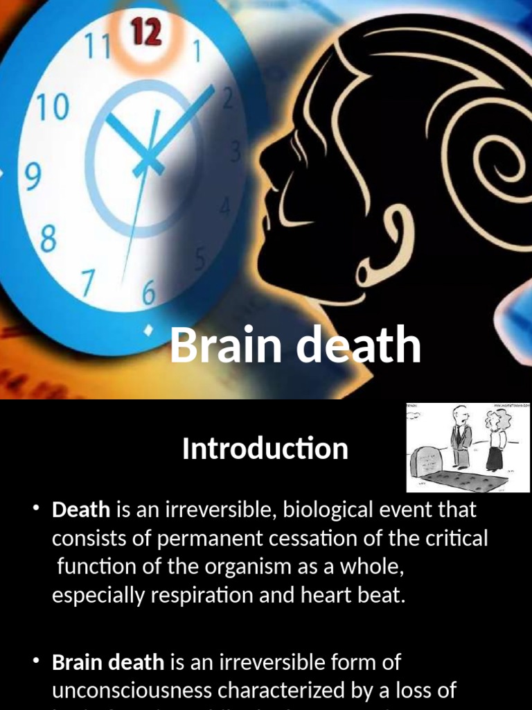 Brain Death | PDF | Death | Clinical Medicine