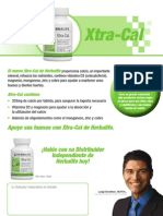 Xtra Cal Flyer Informativo