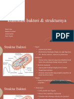 Klasfikasi Bakteri & Strukturnya