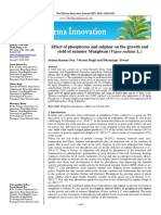 Effect of Phosphorus and Sulphur On The Growth and Yield of Summer Mungbean (Vigna Radiata L.)