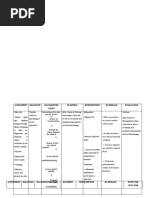 C. Nursing Care Plan