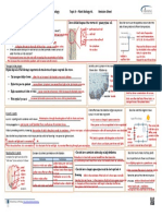 Ib Biology Topic 9 - Plant Biology HL Revision Sheet: © David Faure, Inthinking