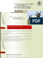 Raça Guzerá: características e cruzamentos