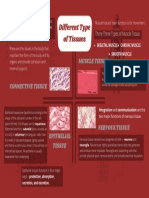 Different Type of Tissues: Muscle Tissue Connective Tissue