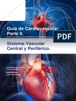 Guia Sistema Vascular Central y Periferico.