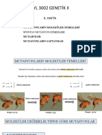 Genetik 2 - Mutasyonlarin Moleküler Temelleri̇