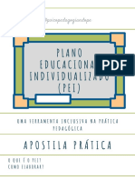 PLANO EDUCACIONAL INDIVIDUALIZADO (PEI) (1)