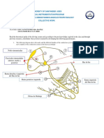 Guia de Trabajo Sistema de Conduccion Grupo 4