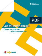 Las Microfinanzas Caracterizacion 2