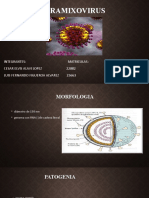 Paramixovirus Grupo 15 Microbiologia