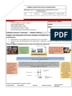 Informe de Estandarizacion