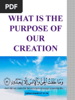 What Is The Purpose of OUR Creation