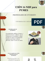 SECCIÓN 16 NIIF para PYMES