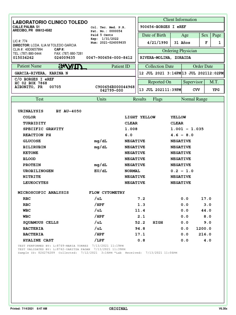 Urinalysis Report for Patient Zoraida | PDF | Medicine | Medical Tests