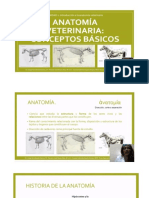 Anatomia Video Presentacion (1)