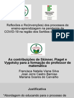 Apresentação Psicologia Do Desenvolvimento