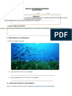 4°-básico-Ciencias-Naturales-Guía-11-María-Fernanda-Vives