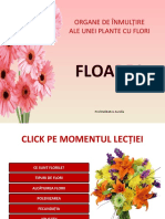 Floarea