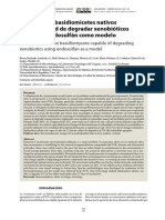 AC Basidiomicetes - DegradaciónXB