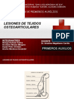lesinesosteoarticulares-090505073647-phpapp02