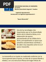 Lab 16 - Prueba Queso Muzarella | PDF | Queso | Queso Mozzarella