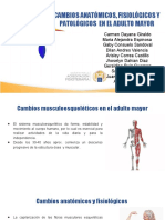 Cambios Fisiologicos y Anatomicos en El Adulto Mayor