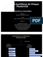 Patologias de Organos Reproductores