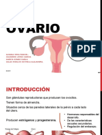 Ovario