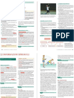 apprendimento_gesti_motori