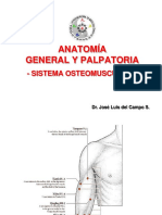 Anatomía y Puntos de Acupuntura