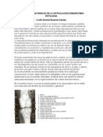 Accidentes Anatomicos de La Articulación Fémorotibio-Rotuliana.