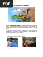 La Contaminacion Ambiental