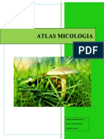 Atlas Micologia.