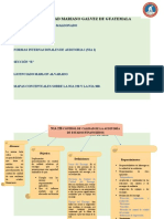 1mapas Conceptuales NIAS 220 y 300 Luis Mauricio