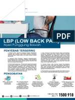 Low Back Pain Hse Flyer