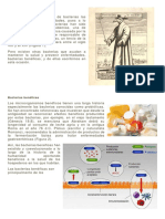 Bacterias y Enfermedades