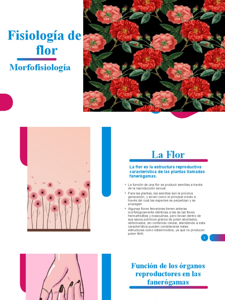 Fisiología y partes de la flor | PDF | Flores | Polen