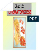 Hématopoèse-++++++