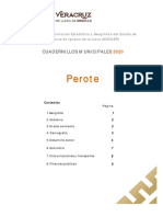 Perote_2020 (1)