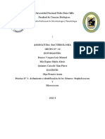 Aislamiento e identificación de Staphylococcus y Micrococcus