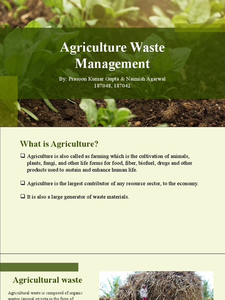 Agriculture Waste Management A Guide to Effective Collection, Treatment, and Disposal PDF