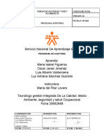 Programa Auditoria Viseg