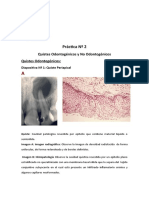 Quistes odontogénicos y no odontogénicos: una guía práctica