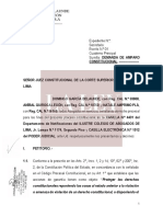 Accion de Amparo - Anibal Quiroga Leon y Otros Contra Sagastegui