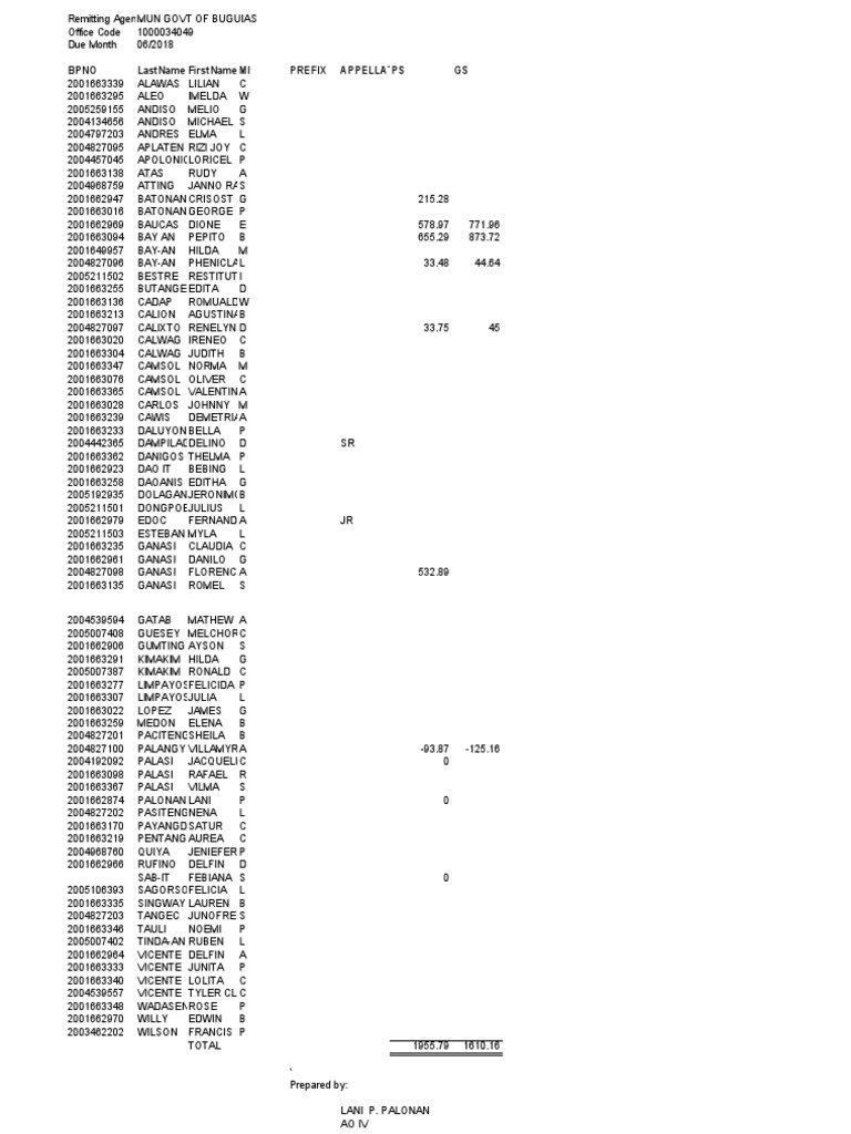 Bpno Lastname Firstname Mi Prefix Appellatps Gs | PDF
