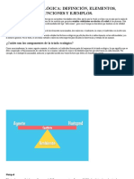 Triada ecológica: definición, elementos y ejemplos