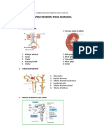 LKPD 09 Sistem Ekskresi